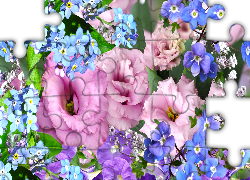 Kwiaty, Eustoma, Niezapominajki, Grafika