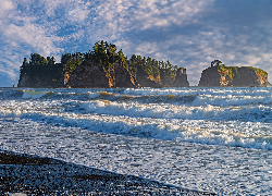 Stany Zjednoczone, Waszyngton, Park Narodowy Olympic, Półwysep, Olympic Peninsula, Morze, Fale, Plaża Rialto, Skały, Drzewa