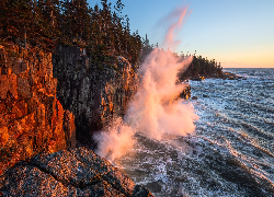 Morze, Skały, Drzewa, Park Narodowy Acadia, Maine, Stany Zjednoczone