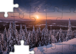 Finlandia, Laponia, Gmina Posio, Park Narodowy Riisitunturi, Zima, Drzewa, Świerki, Zachód słońca
