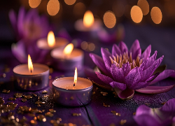 Fioletowy, Kwiat, Lilia wodna, Świeczki