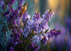 Wrzosiec, Kwiaty, Grafika AI