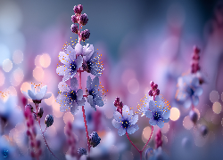 Fioletowe, Kwiaty, Rozmyte, Tło, Grafika AI