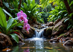Orchidea, Storczyk, Strumień, Grafika AI