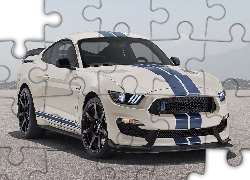 Ford Mustang Shelby GT350 Heritage Edition, 2020