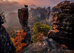 Formacja skalna, Bastei, Skały, Góry, Drzewa, Park Narodowy Saskiej Szwajcarii, Niemcy