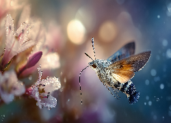 Motyl, Fruczak gołąbek, Kwiaty, Rosa, Grafika AI