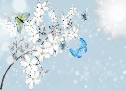 Gałązka, Białe, Kwiaty, Motyle, 2D