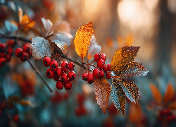 Gałązka, Czerwone, Owoce, Jagody, Liście, Grafika AI