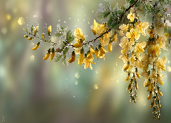 Złotokap, Żółte, Kwiaty, Grafika AI