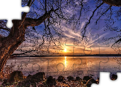 Jezioro, Wschód słońca, Drzewo