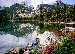 Park Narodowy Grand Teton, Wyoming, Stany Zjednoczone, Góry, Jezioro, Bradley Lake, Kamienie, Las, Drzewa, Chmury, Odbicie