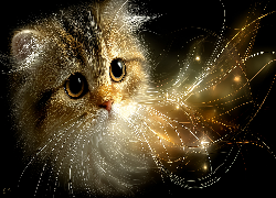 Kot, Głowa, Długie, Wąsy, Grafika AI