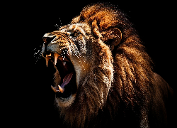 Lew, Głowa, Grzywa, Kły, Czarne, Tło, AI