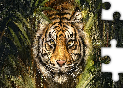 Tygrys, Zbliżenie, Grafika