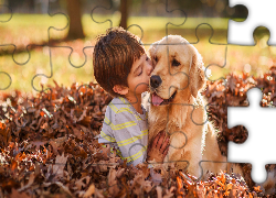 Pies, Golden retriever, Chłopiec, Liście, Przyjaźń, Przyjaciele