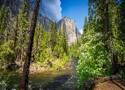 Park Narodowy Yosemite, Góra, El Capitan, Rzeka, Merced River, Drzewa, Krzewy, Stany Zjednoczone, Kalifornia