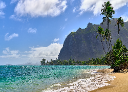 Stany Zjednoczone, Hawaje, Wyspa Oahu, Morze, Góra, Skała, Plaża, Palmy