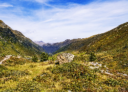 Skała, Dolina, Góry