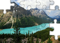 Góry, Canadian Rockies, Jezioro Peyto Lake, Drzewa, Park Narodowy Banff, Kanada