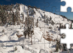 Zima, Śnieg, Góry, Stok, Drzewa