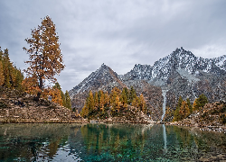 Jesień, Góry, Jezioro, Lac Bleu, Żółte, Drzewa, Modrzewie, Szwajcaria