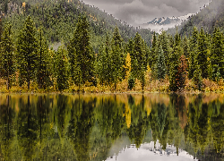 Jesień, Góry Skaliste, Las, Drzewa, Jezioro, Officers Gulch Pond, Kolorado, Stany Zjednoczone