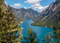 Góry, Jezioro, Plansse, Drzewa, Sosny, Austria