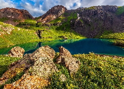 Góry, Kwiaty, Jezioro, Lake Basin, San Juan, Kolorado, Stany Zjednoczone