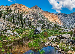 Góry, Sierra Nevada Mountains, Staw, Drzewa, Kamienie, South Lake Tahoe, Kalifornia, Stany Zjednoczone