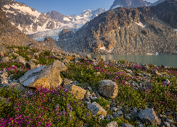 Góry, Jezioro Wedgemount, Kwiaty, Kamienie, Park prowincjonalny Garibaldi, Kolumbia Brytyjska, Kanada
