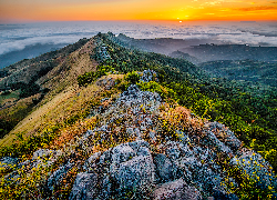 Stany Zjednoczone, Kalifornia, Park Stanowy Fremont Peak, Góry, Skały, Lasy, Roślinność, Mgła, Zachód słońca