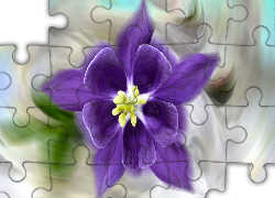 Kwiat, Fioletowy, Grafika