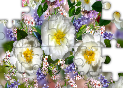 Kwiaty, Trzy, Białe, Róże, Grafika