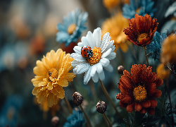 Biedronka, Kolorowe, Kwiaty, Grafika AI