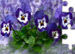 Kwiaty, Niebieskie, Bratki, Grafika