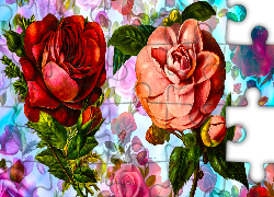 Kwiaty, Dwie, Róże, Grafika