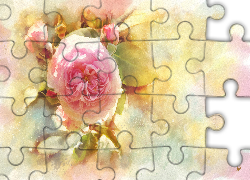 Grafika, Reprodukcja obrazu, Akwarela, Kwiaty, Róże różowe, Pąki Alberto Guillen