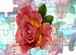 Kwiat, Róża, Efekt graficzny