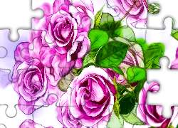 Różowe, Róże, Grafika