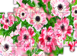 Kwiaty, Zawilce, Grafika 2D