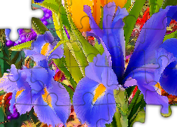 Kwiaty, Kolorowe, Irysy, Liście, Fractalius