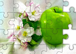 Zielone, Jabłko, Kwiaty, Jabłoni, Grafika