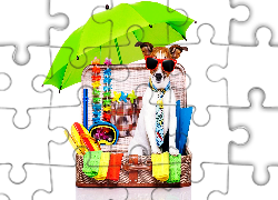 Pies, Jack Russell terrier, Okulary, Wakacje, Walizka, Parasolka, Śmieszne