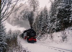 Pociąg, Lokomotywa parowa, Śnieg, Las, Zima, Drzewa