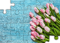 Jasnoróżowe, Tulipany, Niebieskie, Tło
