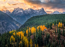 Stany Zjednoczone, Kolorado, Góry, San Juan Mountains, Jesień, Drzewa, Lasy, Chata