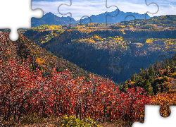 Stany Zjednoczone, Kolorado, Telluride, Jesień, Góry, San Juan Mountains, Kolorowe, Drzewa, Topole