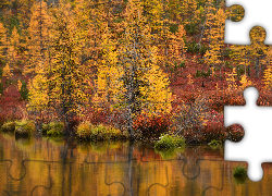 Jesień, Drzewa, Krzewy, Jezioro Jack London, Obwód magadański, Rosja