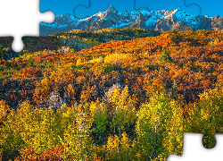 Stany Zjednoczone, Kolorado, Góry, San Juan Mountains, Jesień, Las, Drzewa